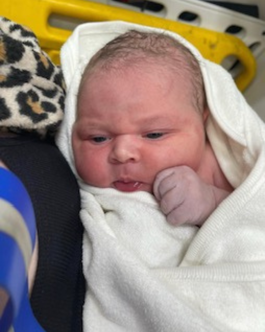 baby, newborn, homebirth